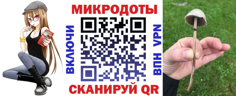 Купить  Калининск  Галлюциногенные грибы Psilocybe 